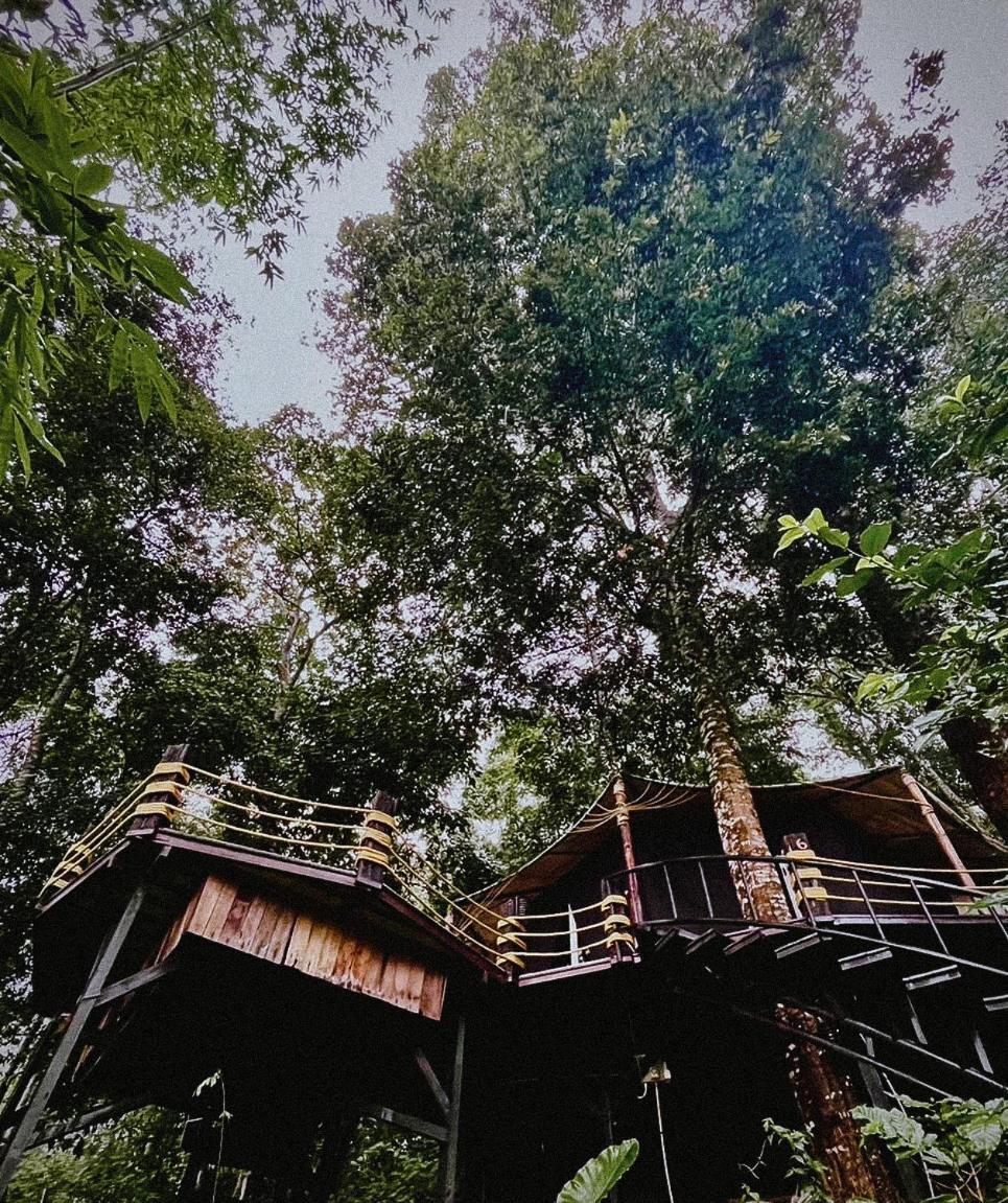 Lannawild Hotel Chiang Mai Cameră foto