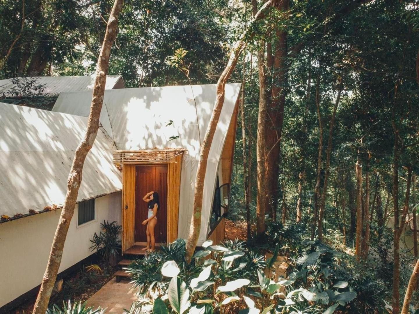 Lannawild Hotel Chiang Mai Cameră foto