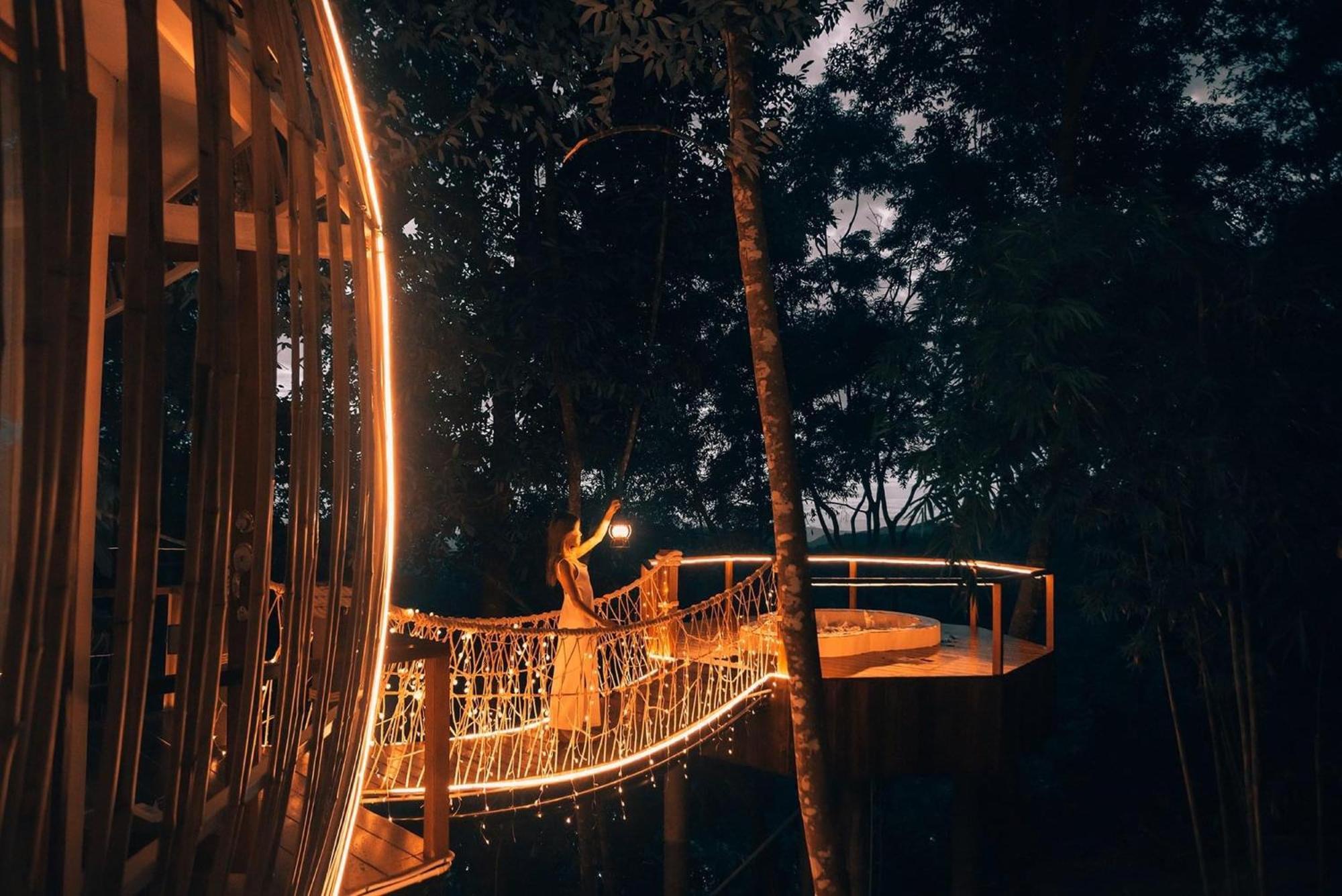 Lannawild Hotel Chiang Mai Cameră foto